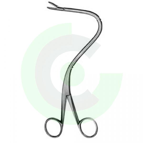  Urology
