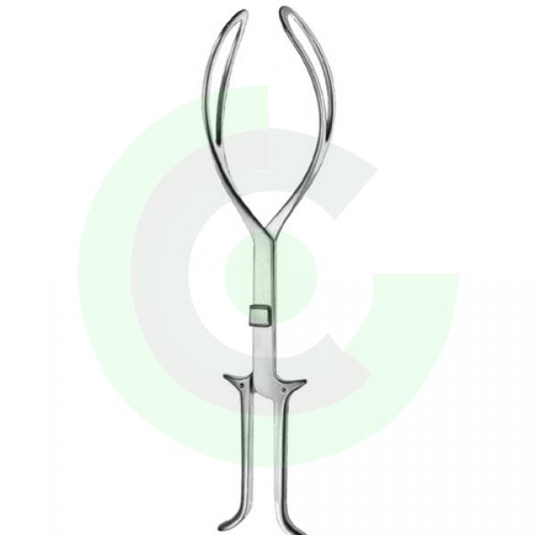  Obstetrics
