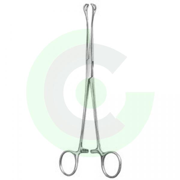  Urology