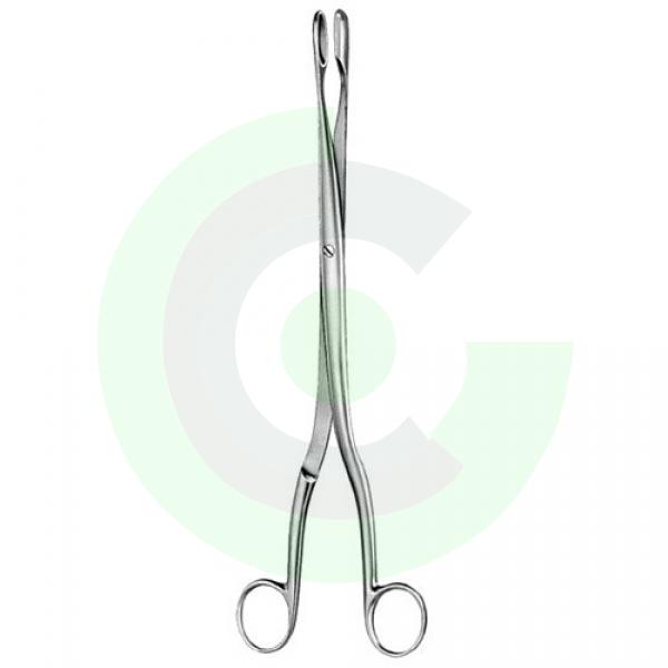  Obstetrics