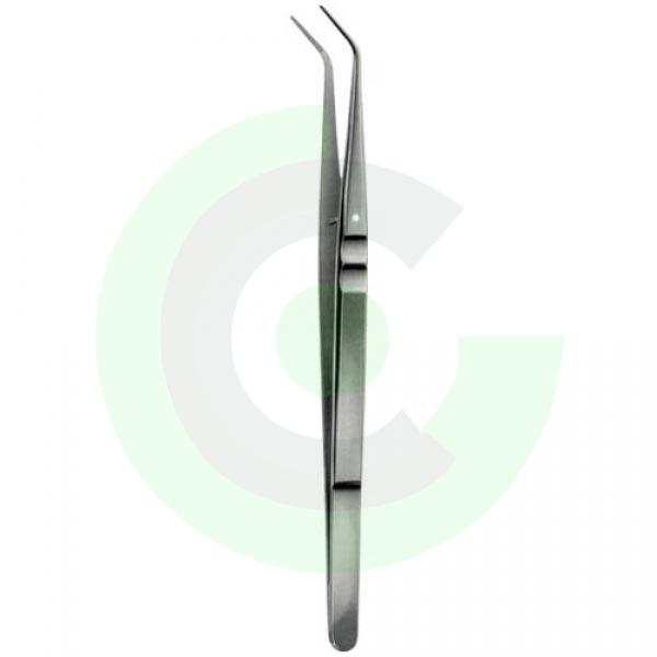 Tooth Tweezers