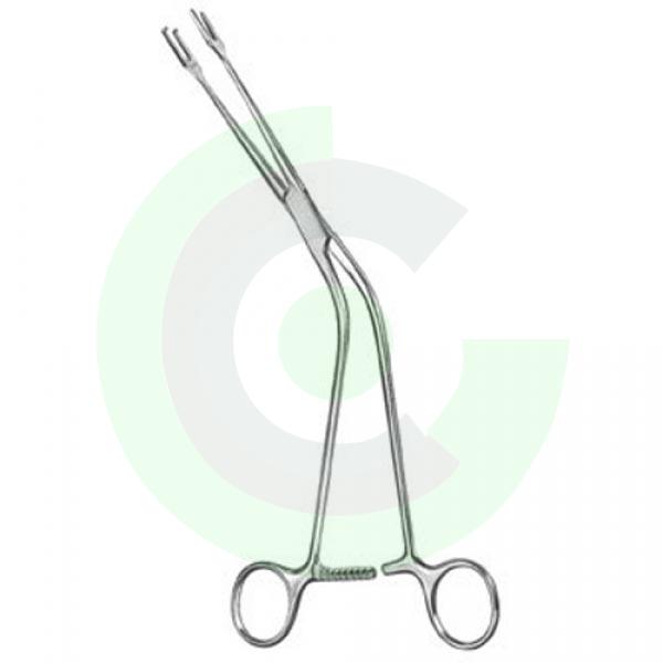  Urology