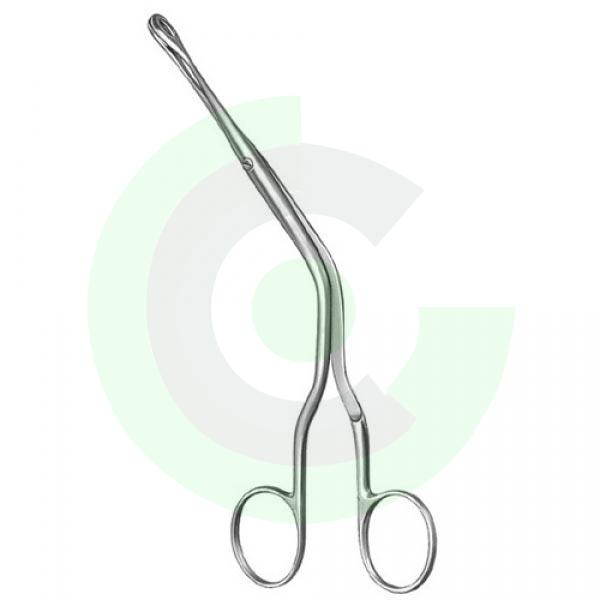 Rhinology