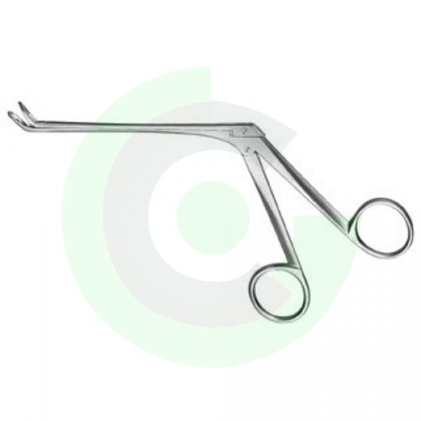 Rhinology