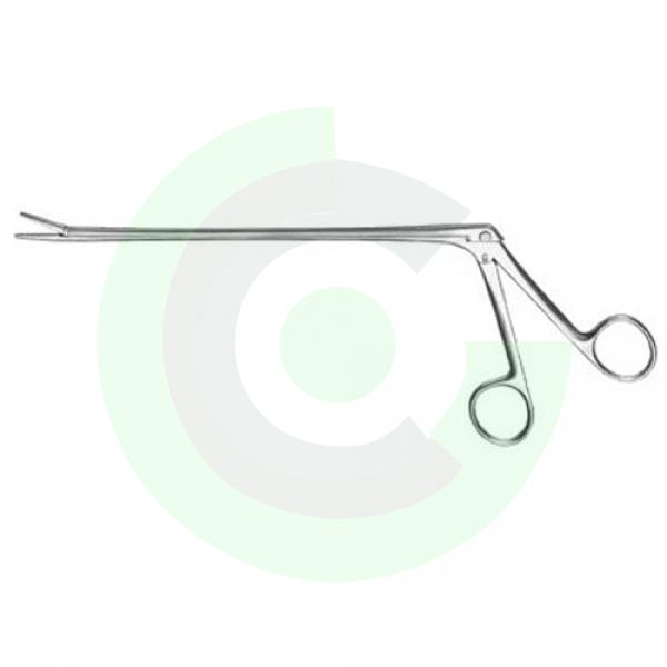  Urology
