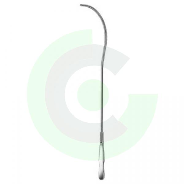  Urology