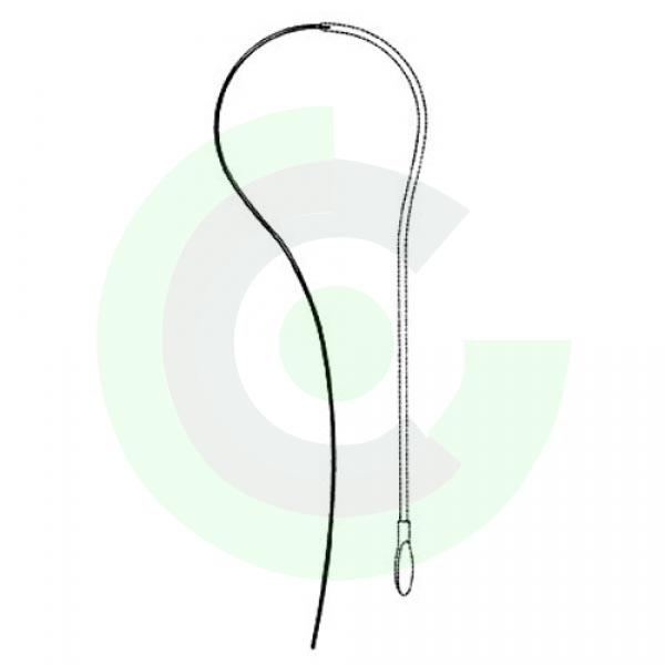  Urology