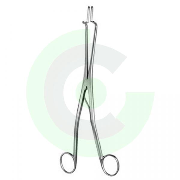  Gynecoloty