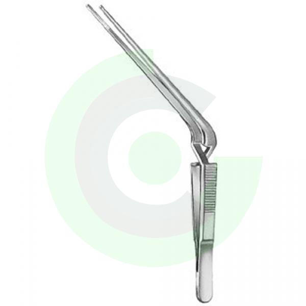 Otology